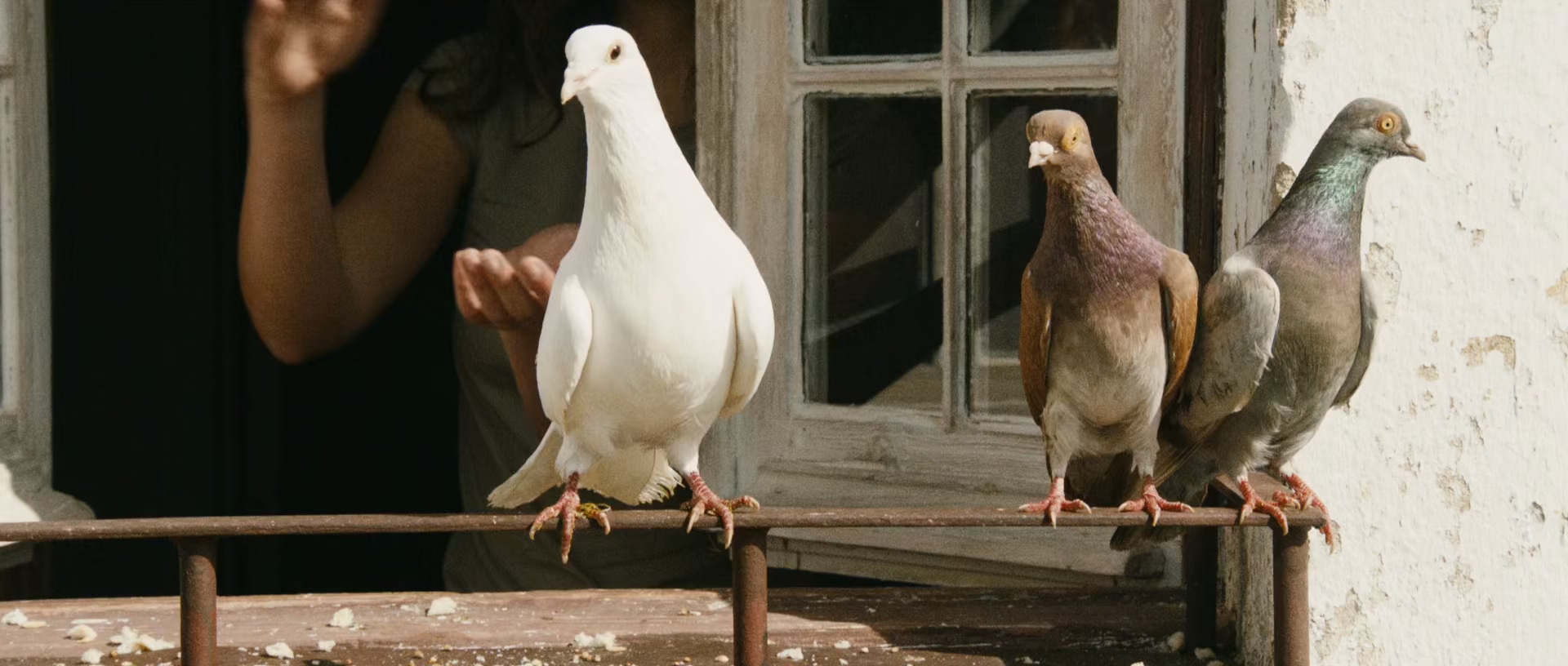 美丽心境界 (2012) 1080p [AAC, AAC] [zho, eng] h265.mkv_20250611_200545.243.jpg