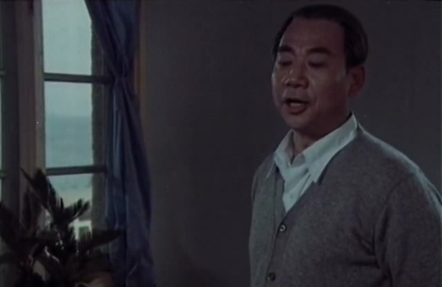 姑娘的心愿.The Girl's Wish.1981.DVD.X264.AAC.HALFCD.mkv_20250613_165426.666.jpg