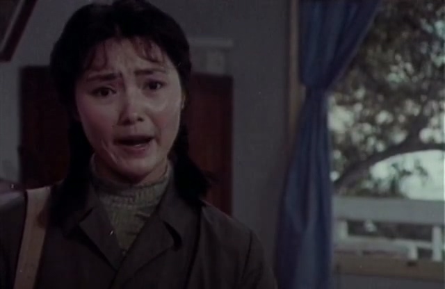 姑娘的心愿.The Girl's Wish.1981.DVD.X264.AAC.HALFCD.mkv_20250613_165438.344.jpg