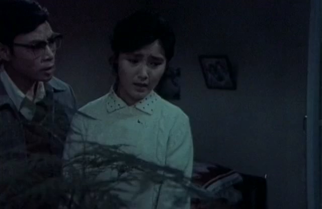 姑娘的心愿.The Girl's Wish.1981.DVD.X264.AAC.HALFCD.mkv_20250613_165455.419.jpg