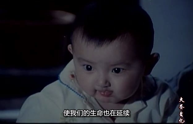 我在他们中间.Myself Among Them.1982.DVD.X264.AAC.HALFCD.mkv_20250613_171452.114.jpg