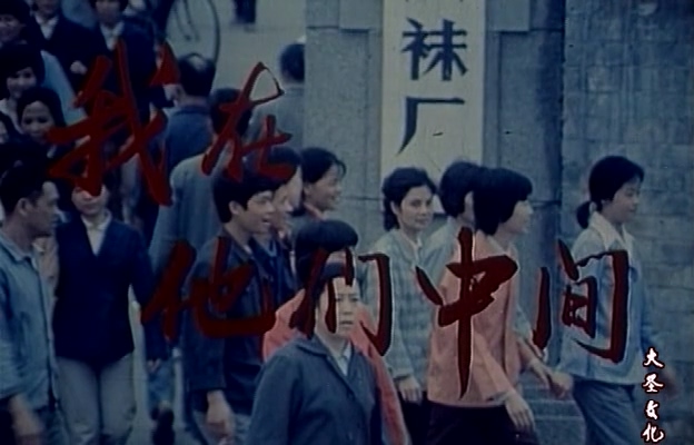 我在他们中间.Myself Among Them.1982.DVD.X264.AAC.HALFCD.mkv_20250613_171604.093.jpg