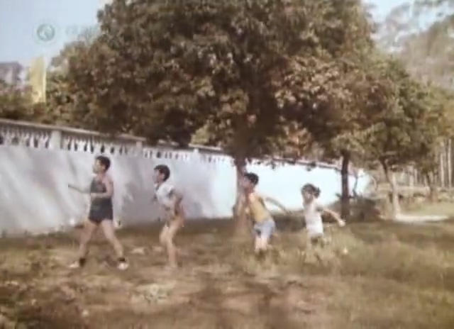 小海.Xiao Hai.1981.DVD.X264.AAC.HALFCD.mkv_20250613_174114.799.jpg