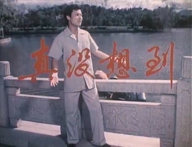 真没想到.It's Not Expected.1982.DVD.X264.AAC.HALFCD(0：-)-.mkv_20250613_181.jpg