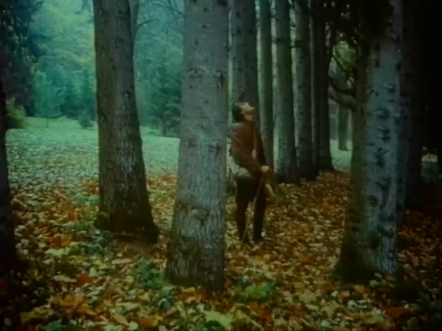 人鸭历险记.Szegény Dzsoni és árnika.1983.DVD.X264.AAC.HALFCD(0：-)-.mkv_20250.jpg