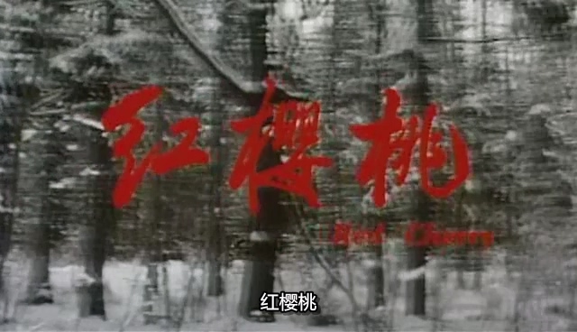 红樱桃.Red Cherry.1995.DVD.X264.AAC.mkv_20250614_175445.422.jpg