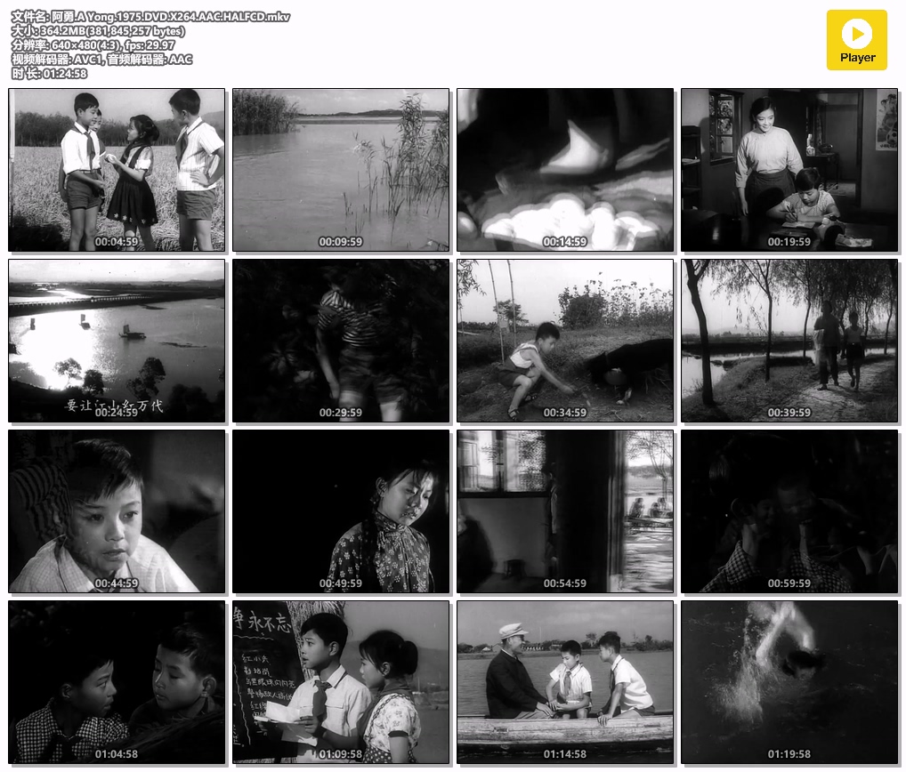 阿勇.A Yong.1975.DVD.X264.AAC.HALFCD.mkv.jpg