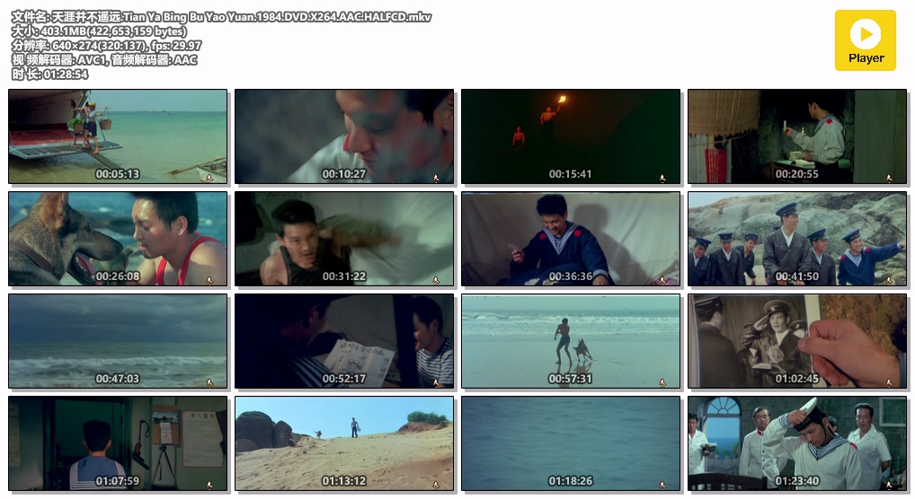 天涯并不遥远.Tian Ya Bing Bu Yao Yuan.1984.DVD.X264.AAC.HALFCD.mkv.jpg