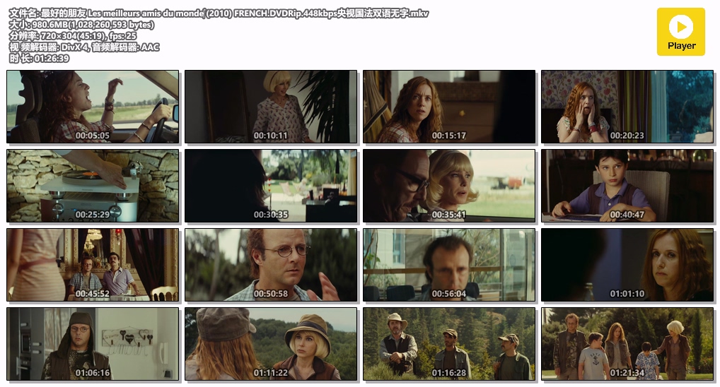 最好的朋友 Les meilleurs amis du monde‎ (2010) FRENCH.DVDRip.448kbps央视国法双.jpg
