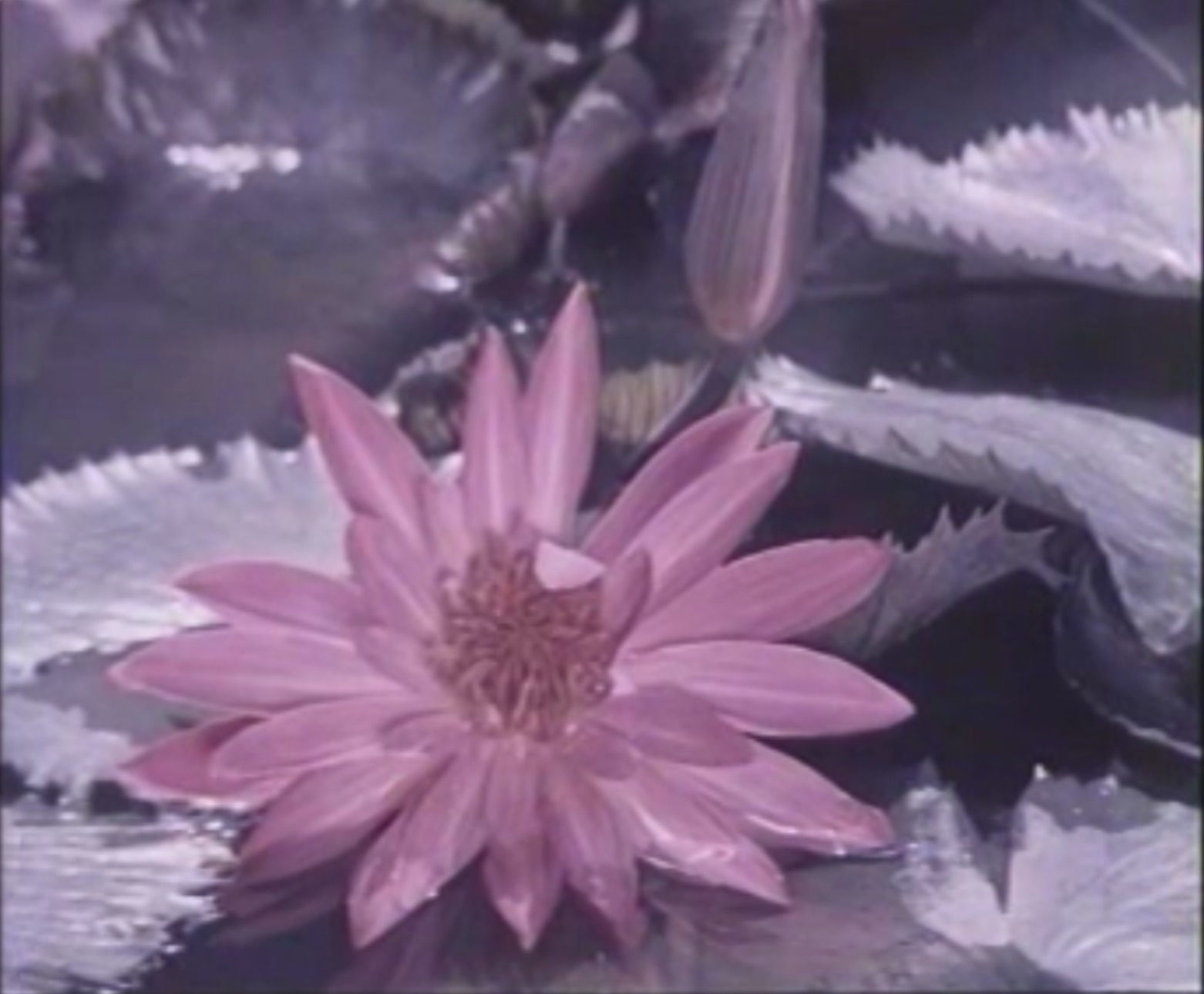 截屏2025-06-15 14.50.25.jpeg