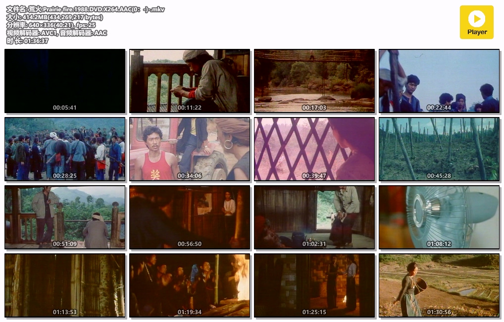 荒火.Prairie fire.1988.DVD.X264.AAC(0：-)-.mkv.jpg