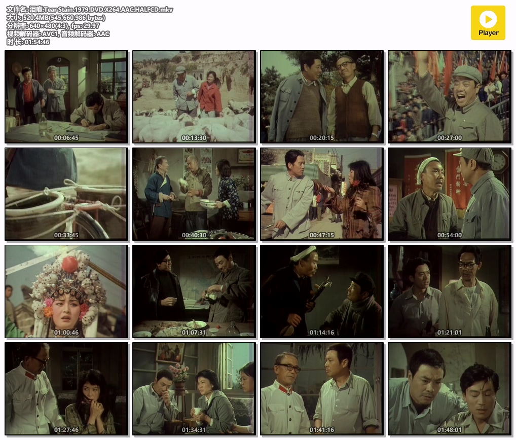 泪痕.Tear Stain.1979.DVD.X264.AAC.HALFCD.mkv.jpg