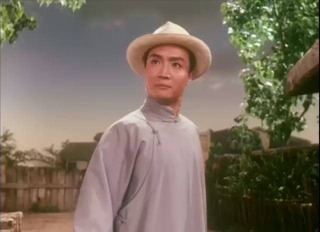 平原作战.Fighting On The Plains.1974.DVD.X264.AAC.mkv_20250615_222947.793.jpg