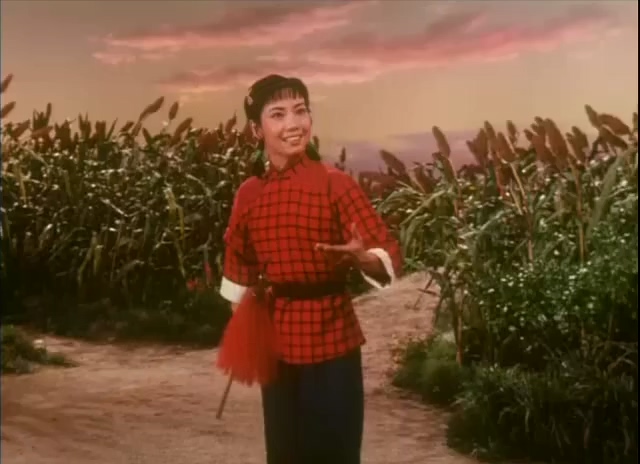 平原作战.Fighting On The Plains.1974.DVD.X264.AAC.mkv_20250615_223005.345.jpg