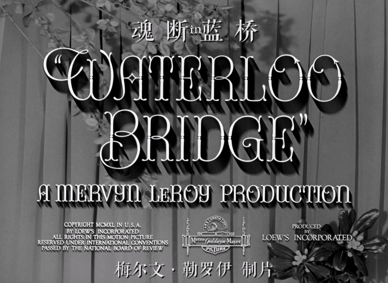 魂断蓝桥.Waterloo.Bridge.1940.1080p.BluRay.x265.4audio-RARBG特效字幕.mkv_2025061.jpg