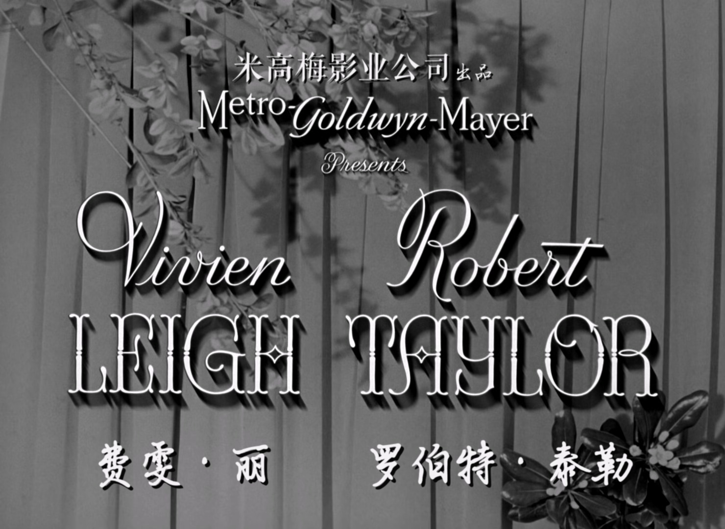 魂断蓝桥.Waterloo.Bridge.1940.1080p.BluRay.x265.4audio-RARBG特效字幕.mkv_2025061.jpg