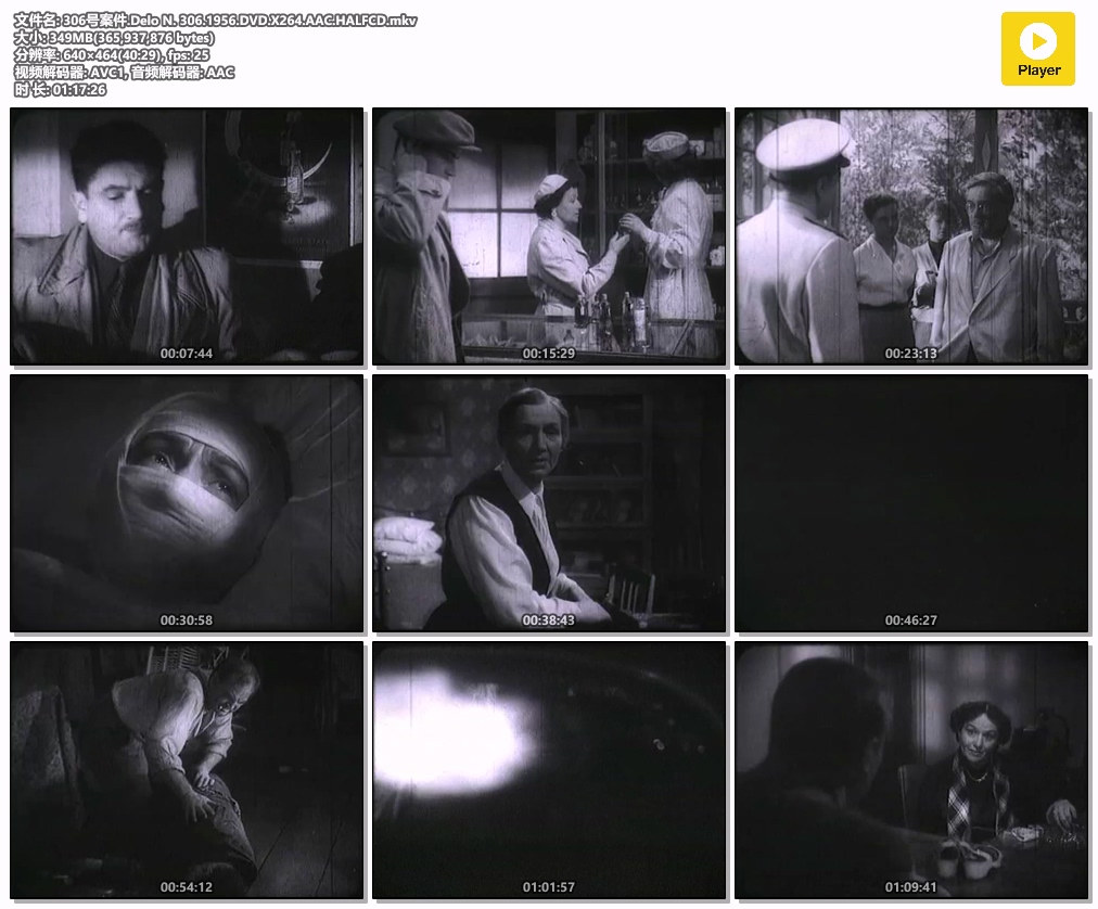 306号案件.Delo N. 306.1956.DVD.X264.AAC.HALFCD.mkv.jpg