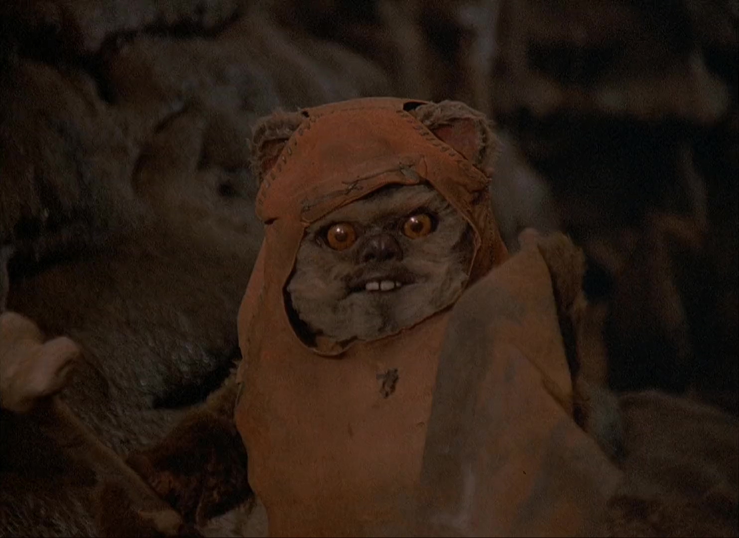 伊沃克人：为恩多而战.Ewoks：The Battle for Endor.1985.CN.mkv_20250617_212922.315.jpg