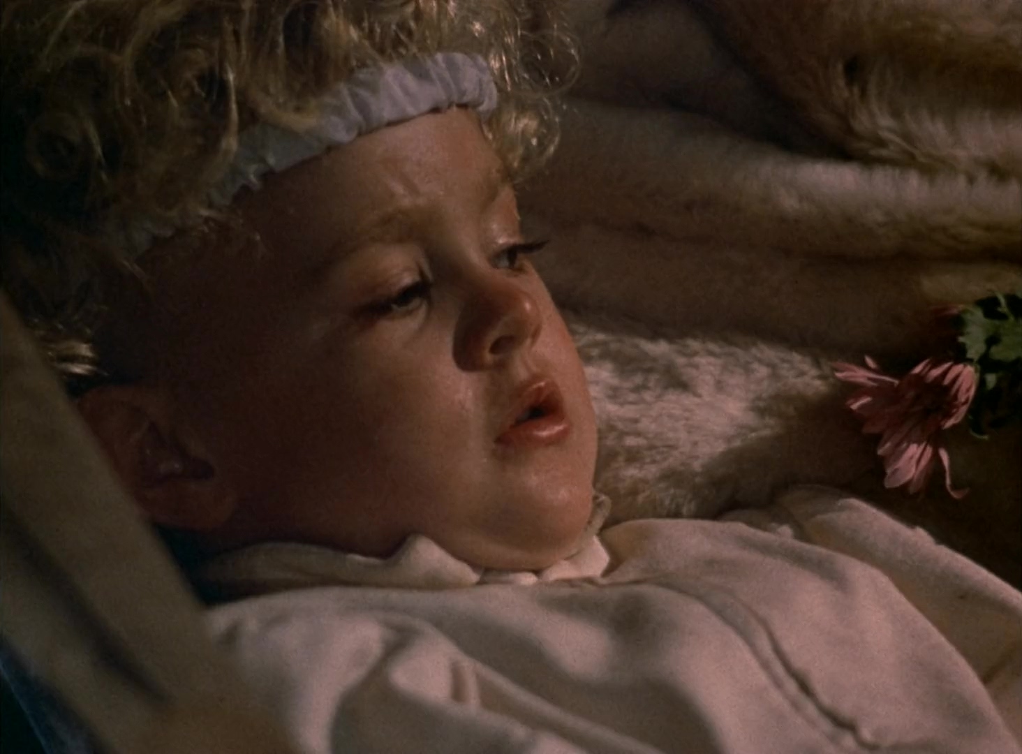 勇敢的马队：伊沃克人历险记.Caravan of Courage, An Ewok Adventure.1984.CN.mkv_202.jpg