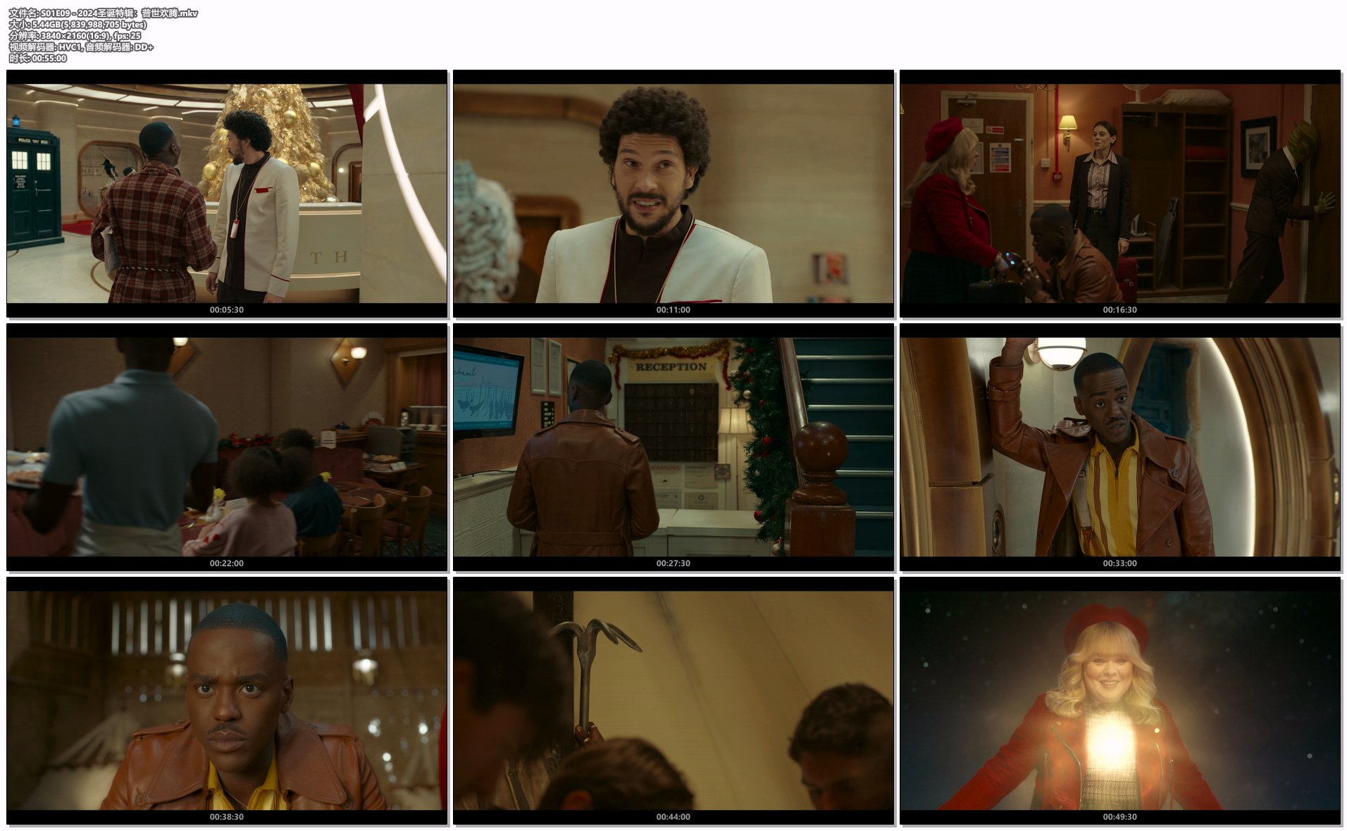 S01E09 - 2024圣诞特辑：普世欢腾.mkv.png