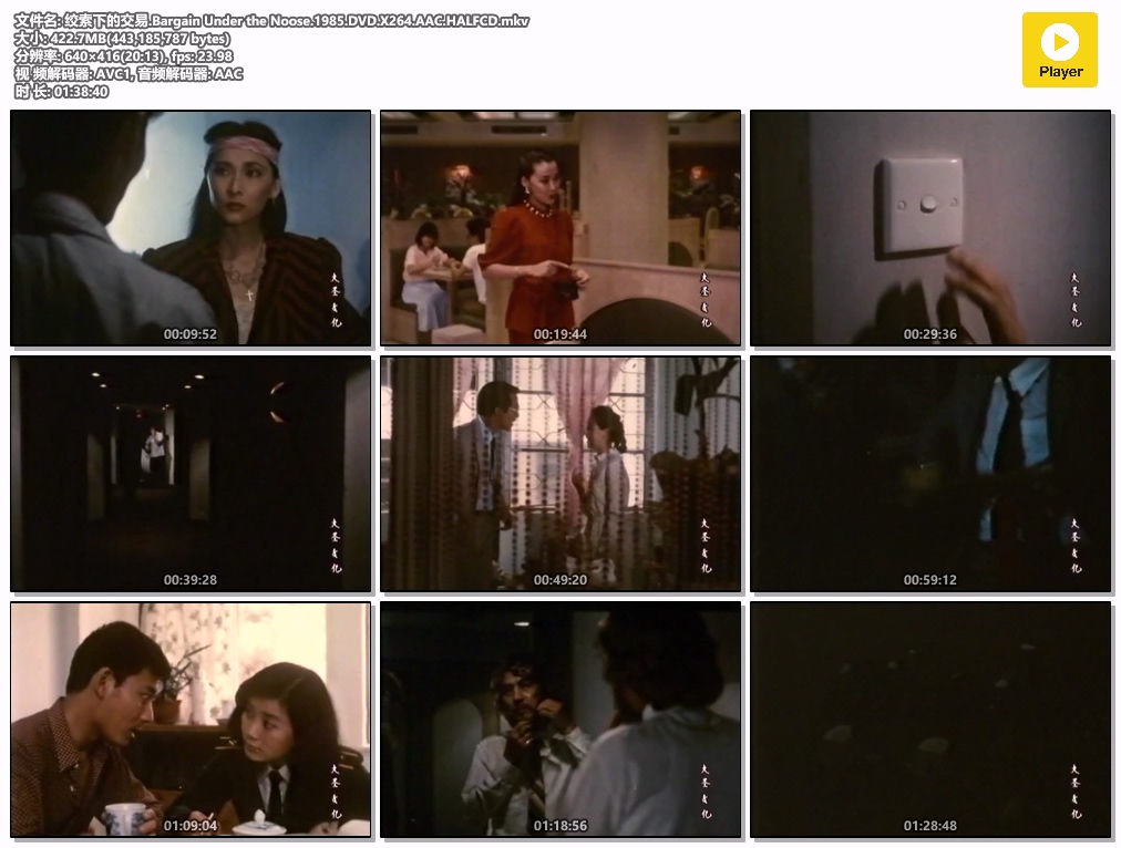 绞索下的交易.Bargain Under the Noose.1985.DVD.X264.AAC.HALFCD.mkv.jpg