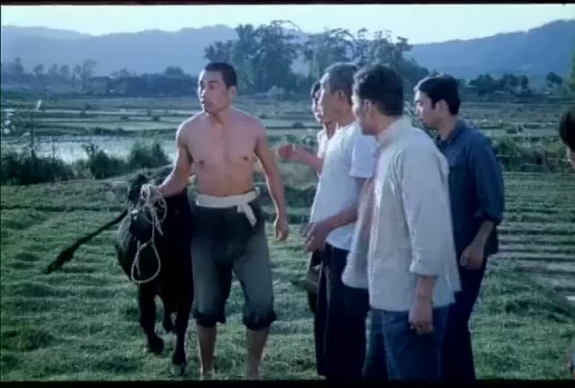 风吹唢呐声.Feng Chui Suo Na Sheng.1983.DVD.X264.AAC.HALFCD.mkv_20250618_201853.457.jpg