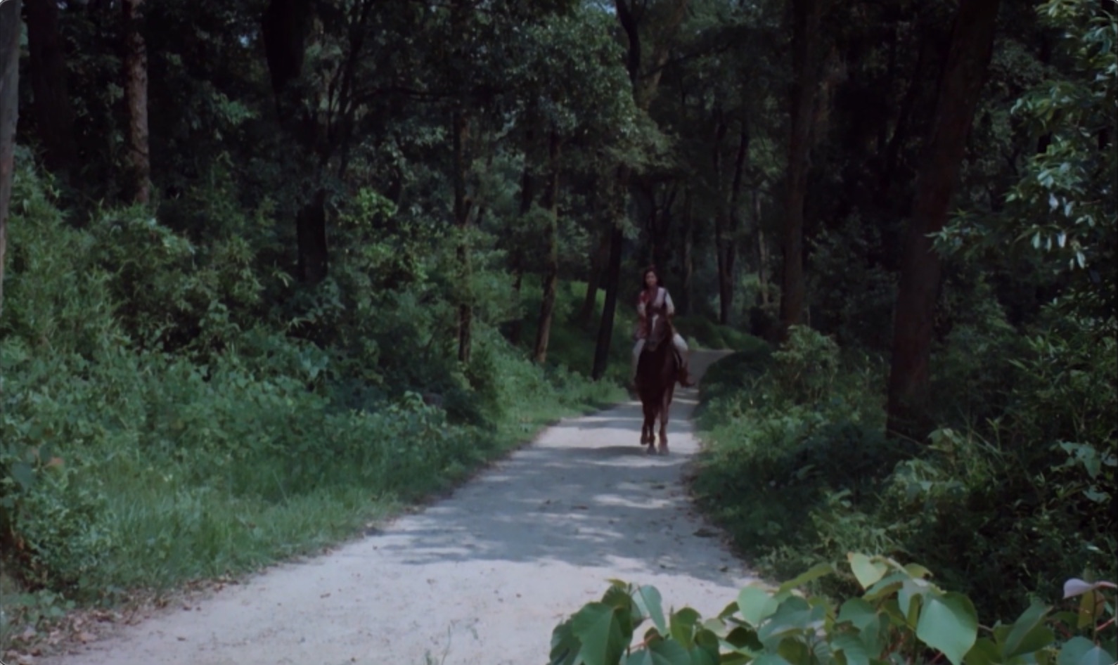 截屏2025-06-19 15.08.29.jpeg