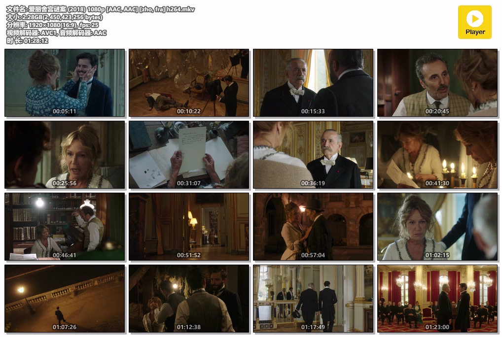 爱丽舍宫谜案 (2018) 1080p [AAC, AAC] [zho, fra] h264.mkv.jpg