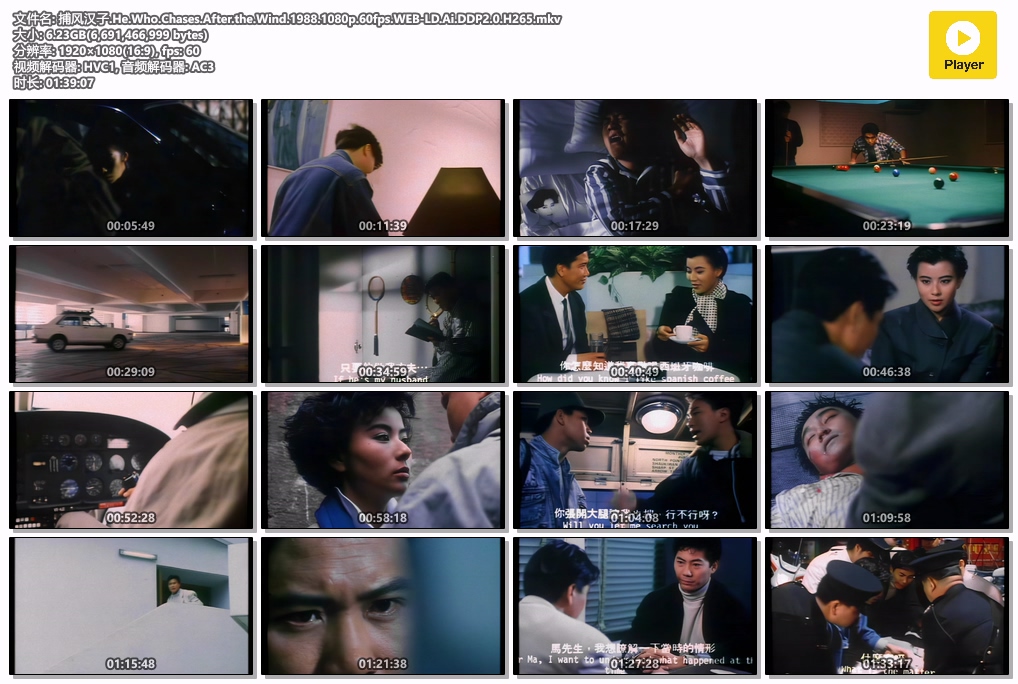 捕风汉子.He.Who.Chases.After.the.Wind.1988.1080p.60fps.WEB-LD.Ai.DDP2.0.H265.mkv.jpg