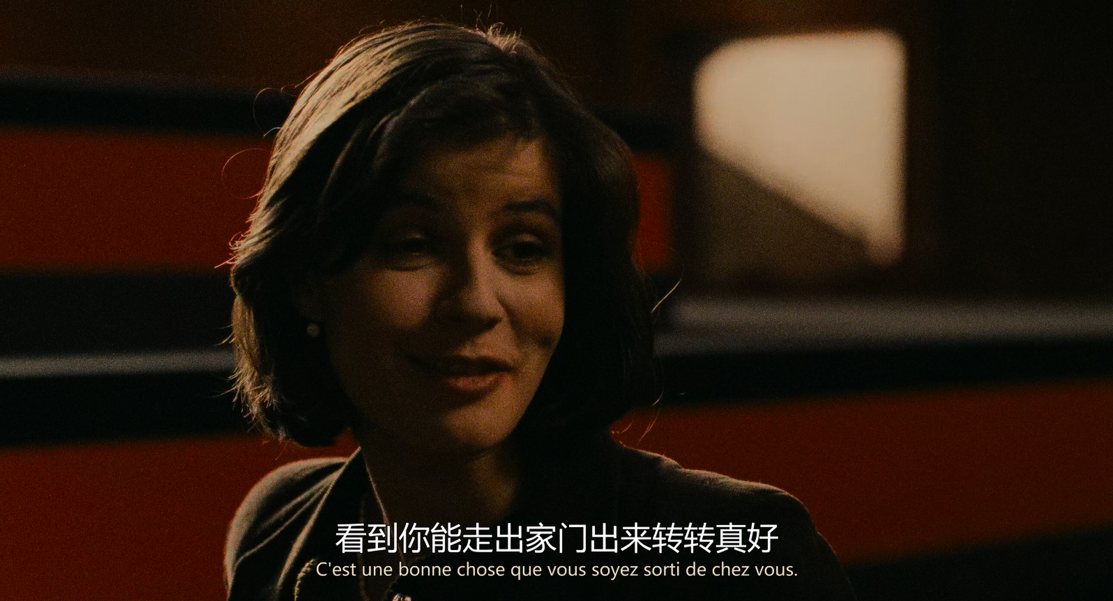 Three Colors - Red (1994) (2160p BluRay x265 10bit 国法双语双字.mkv_20250622_180.jpg