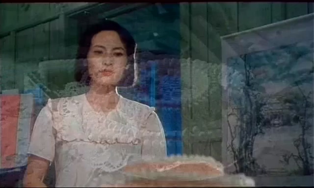 烛光里的微笑.Her Smile Through Candlelight.1991.DVD.X264.AAC.HALFCD.mkv_20250623.jpg