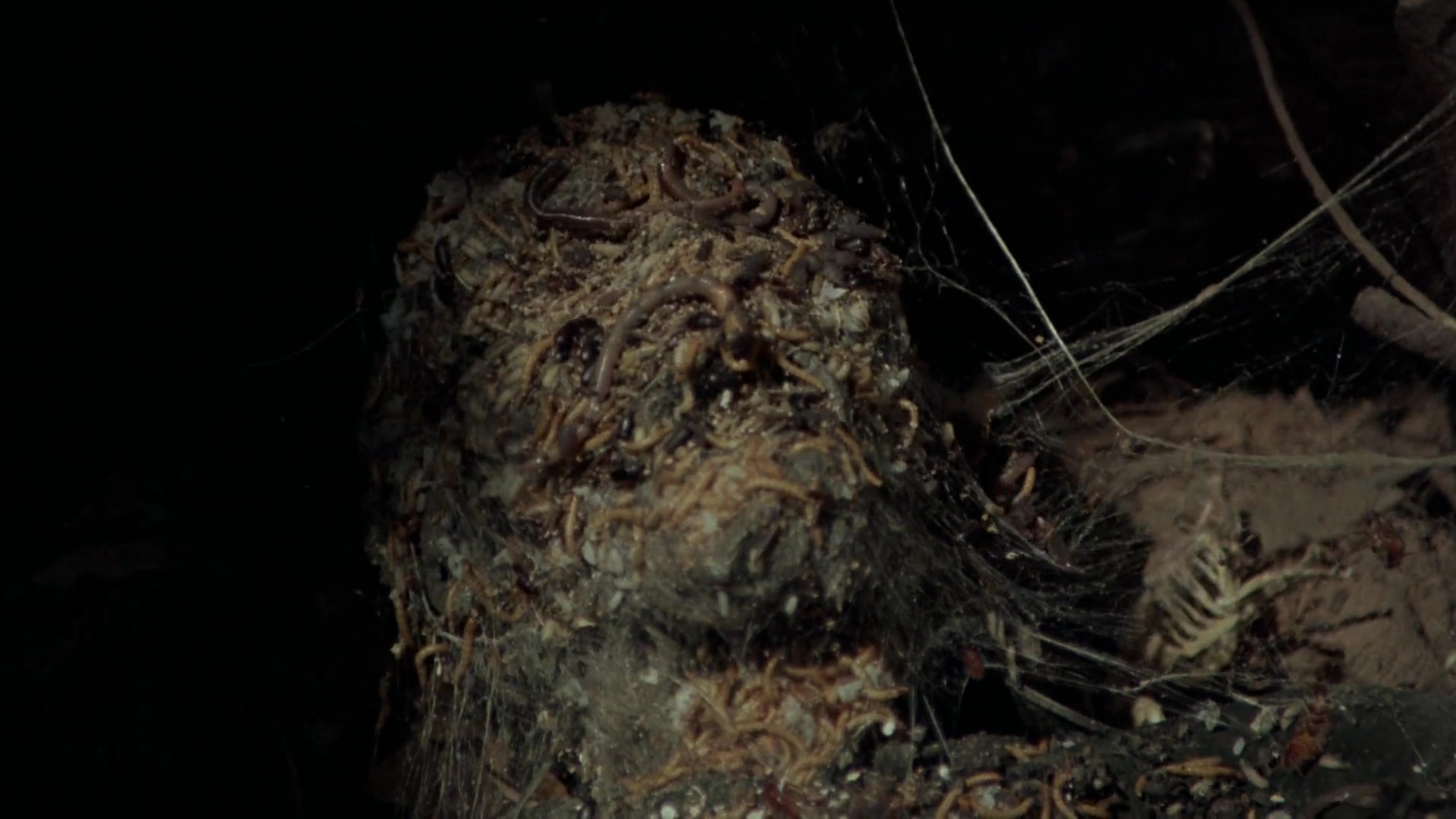 十三号星期五06：杰森复活.Friday.The.13th：Jason Lives.1986.CN.mkv_20250626_225217.455.jpg