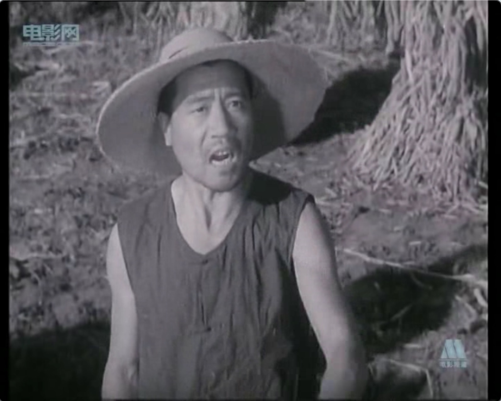 截屏2025-06-27 16.54.07.jpeg