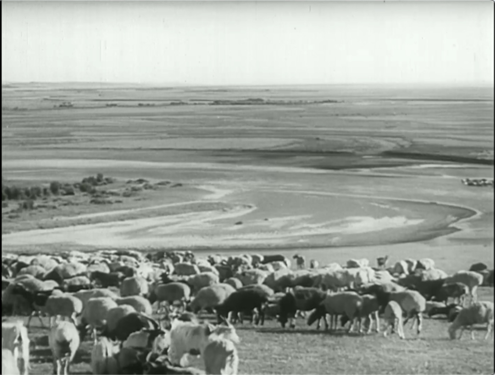 截屏2025-06-27 18.18.24.jpeg