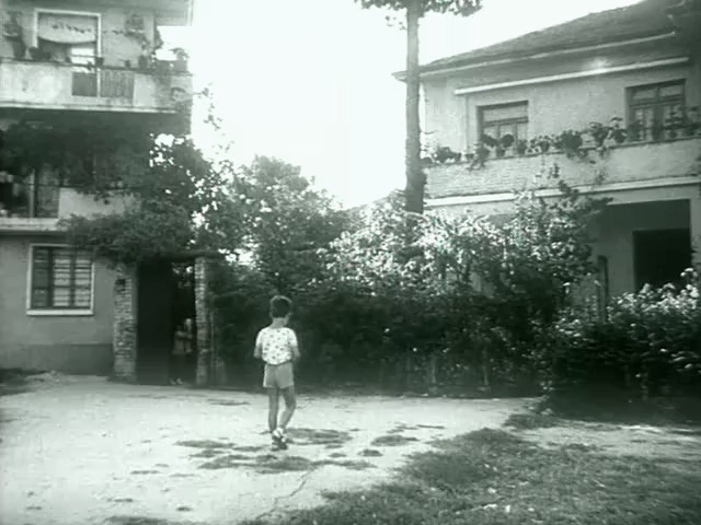 小贝尼.Mengjeze lufte.1976.DVD.X264.AAC.HALFCD.mkv_20250627_214417.318.jpg