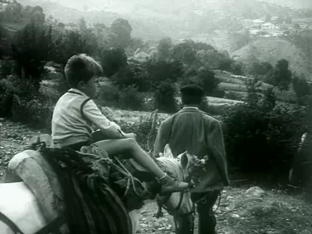 小贝尼.Mengjeze lufte.1976.DVD.X264.AAC.HALFCD.mkv_20250627_214423.688.jpg