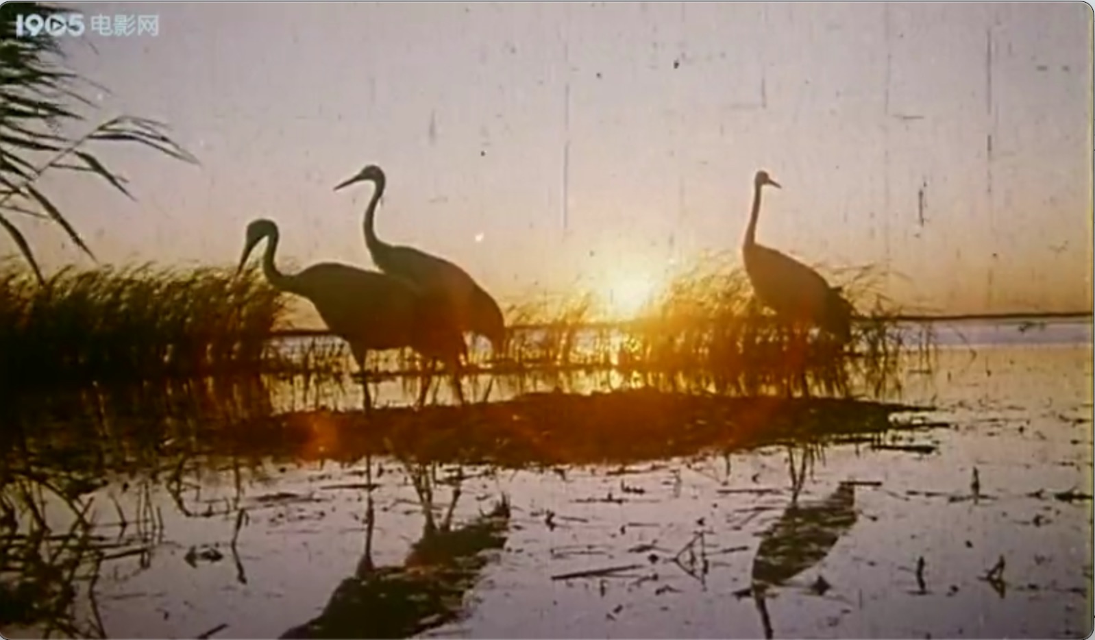 截屏2025-06-29 18.11.22.jpeg