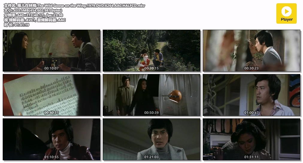 雁儿在林梢.The Wild Goose on the Wing.1979.DVD.X264.AAC.HALFCD.mkv.jpg