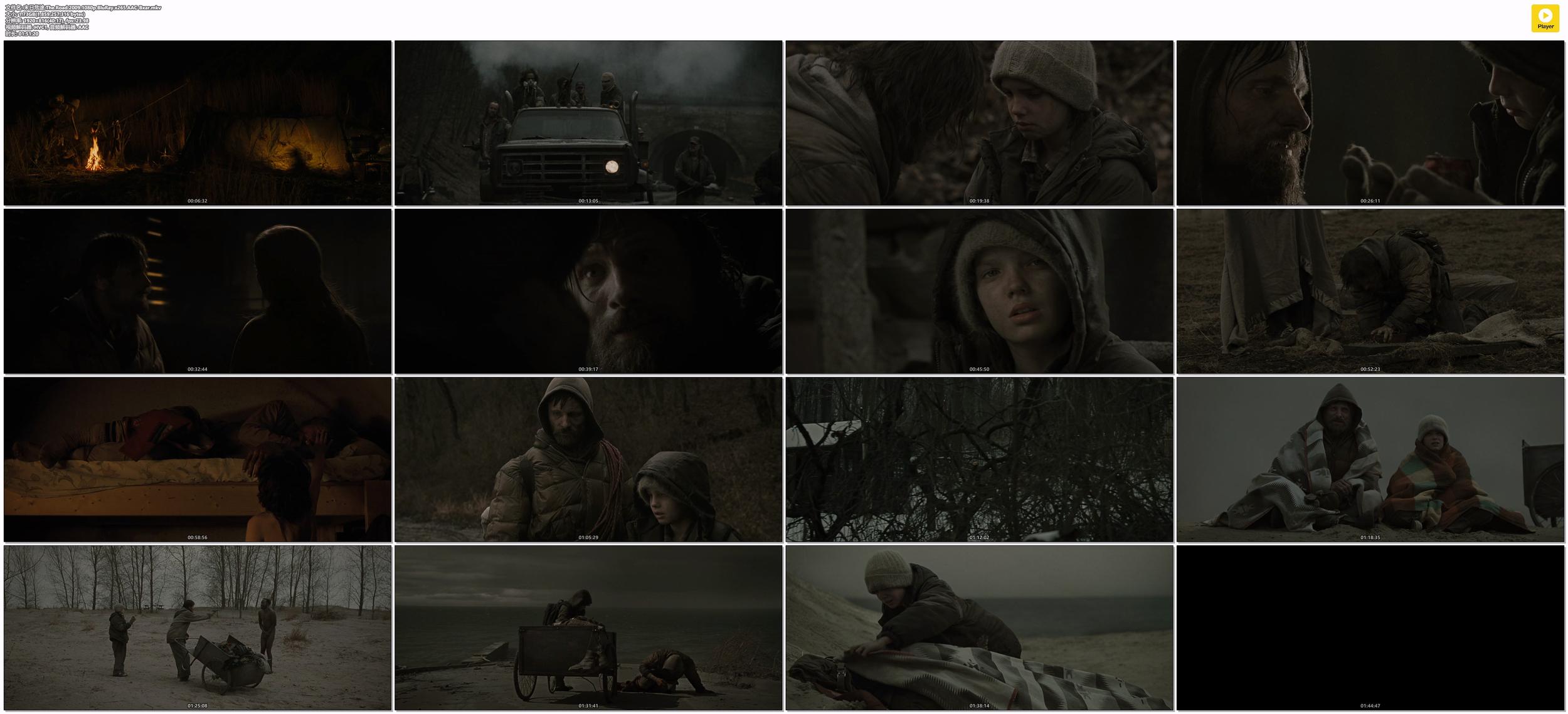 末日危途.The.Road.2009.1080p.BluRay.x265.AAC-Bxar2.jpg