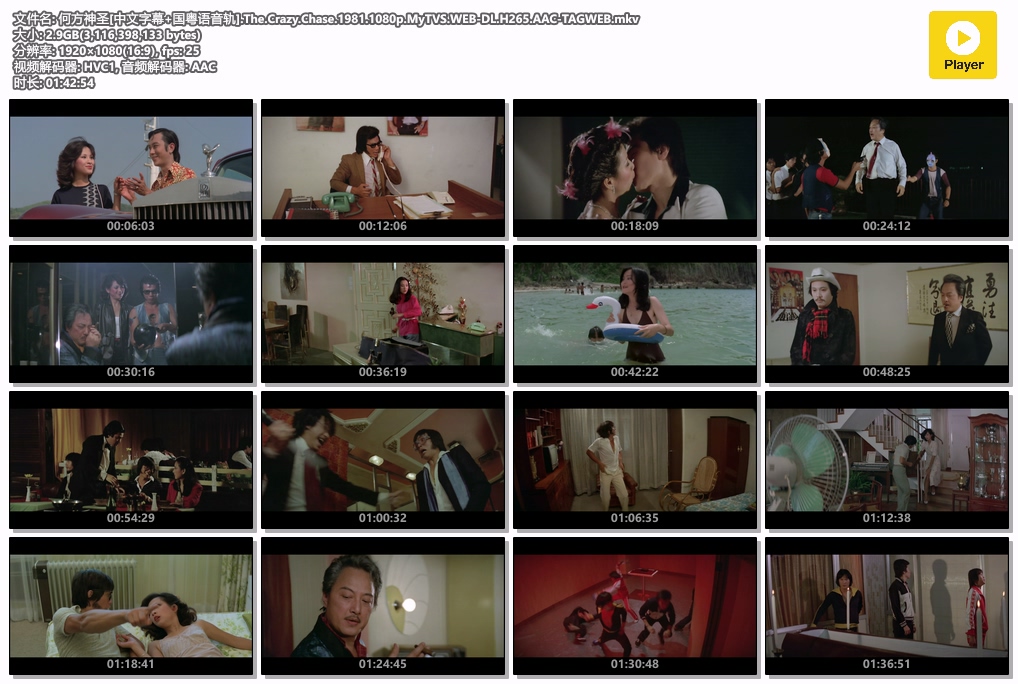 何方神圣[中文字幕 国粤语音轨].The.Crazy.Chase.1981.1080p.MyTVS.WEB-DL.H265.AAC-T.jpg
