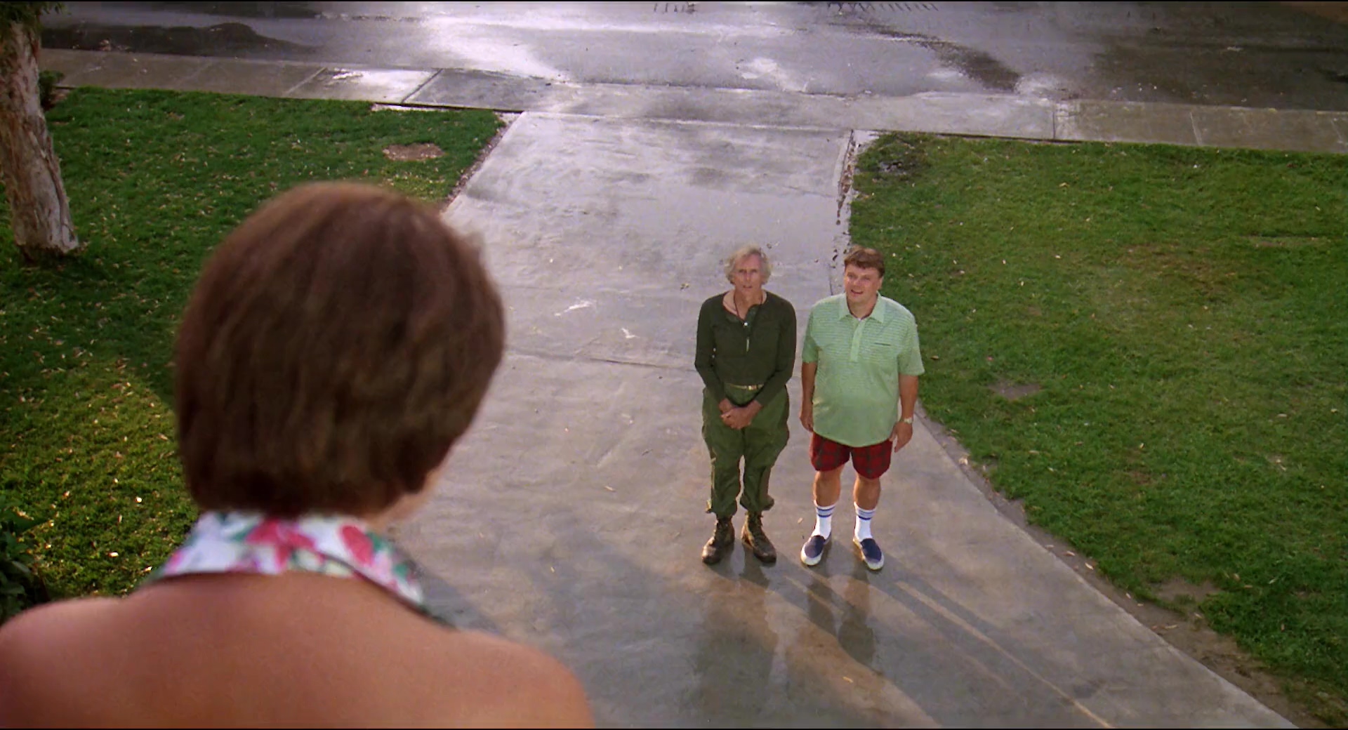 地狱来的芳邻.The.Burbs.1989.CN.mkv_20250703_221803.686.jpg
