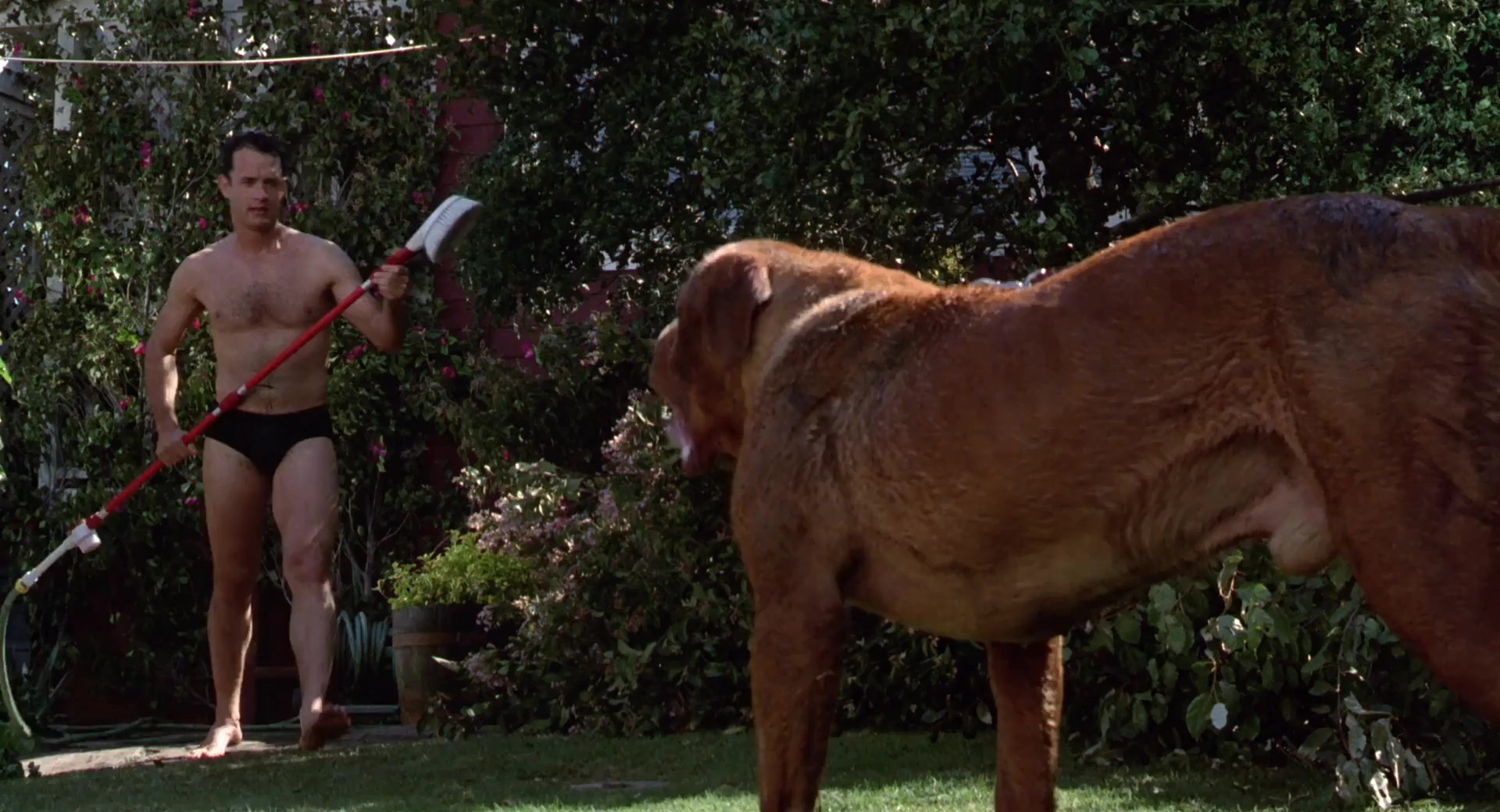 福星与福将.Turner And Hooch 1989.2Audio.CN.mkv_20250704_221312.119.jpg