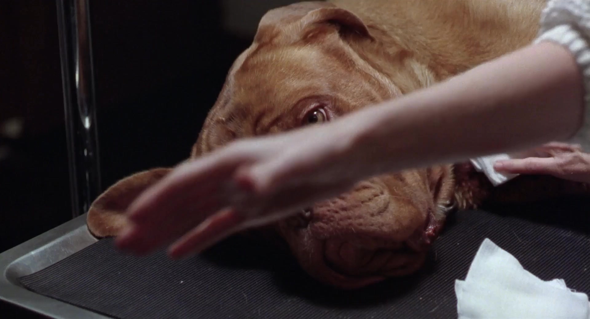 福星与福将.Turner And Hooch 1989.2Audio.CN.mkv_20250704_221325.879.jpg