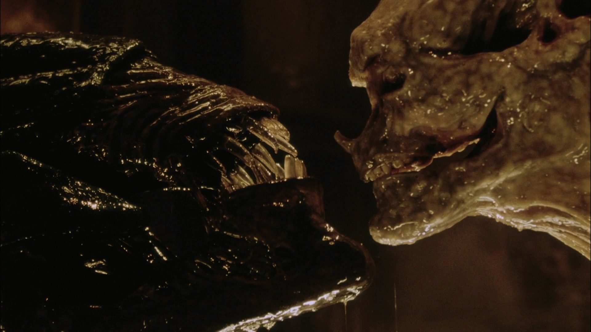 1997.异形4(满屏版109分钟).1080P.英语中字.mkv_20250705_230546.562.jpg