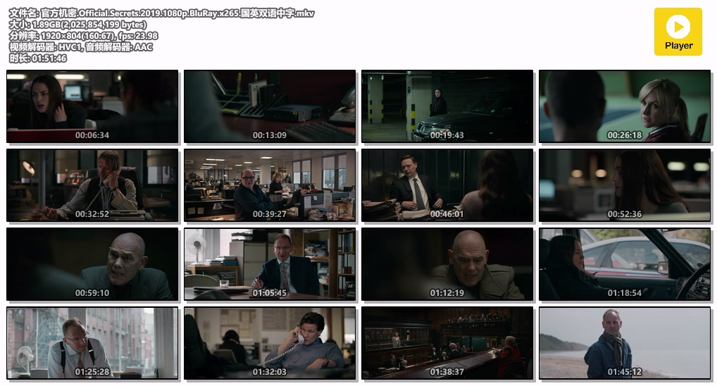 官方机密.Official.Secrets.2019.1080p.BluRay.x265.国英双语中字.mkv.jpg