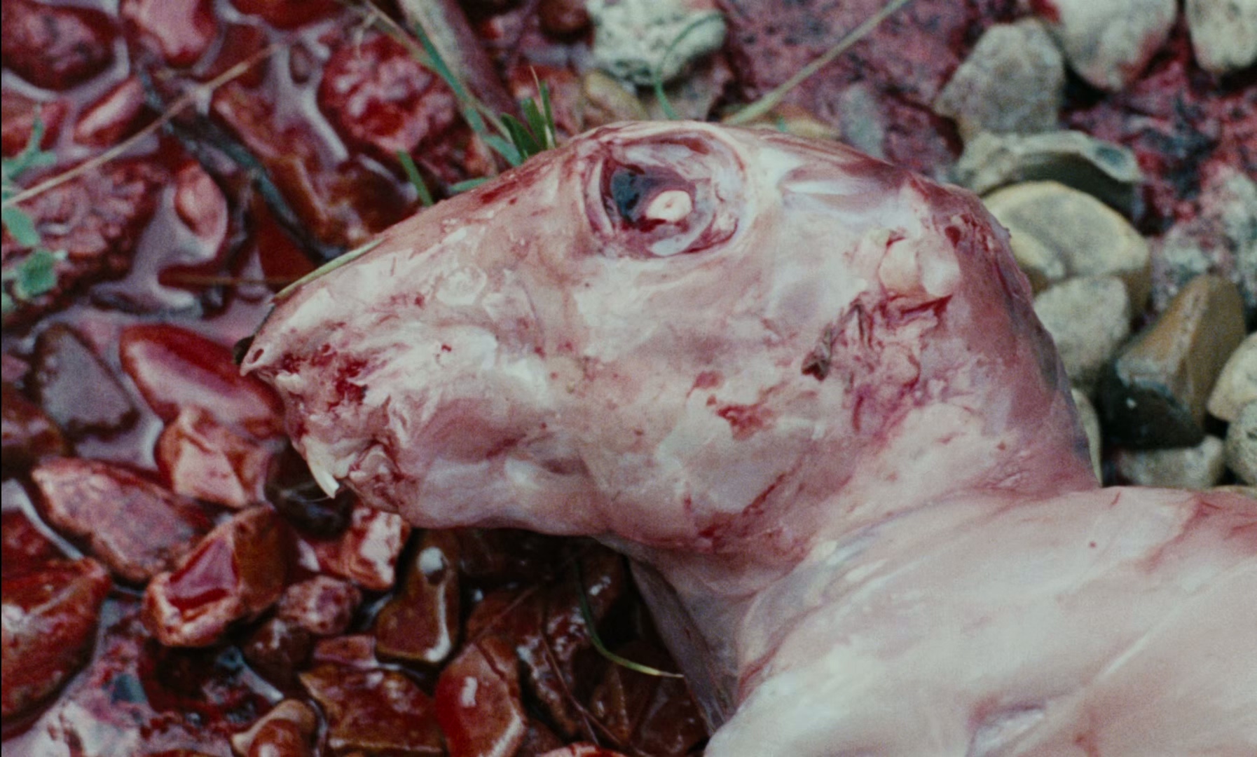 1967 周末 Weekend.mkv_20250712_162653.562.jpg