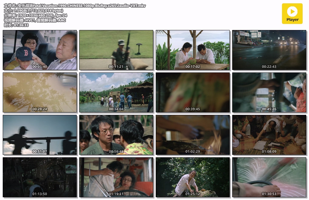 安乐战场Fatal.Vacation.1990.CHINESE.1080p.BluRay.x265.2audio-VXT.mkv.jpg