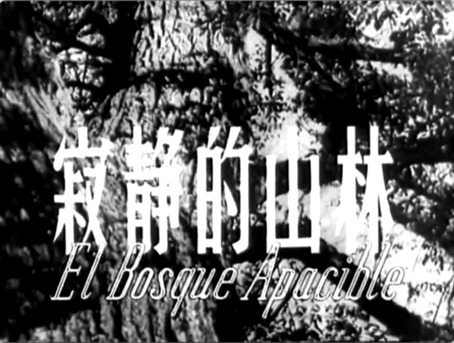 截屏2025-07-19 19.01.20.jpeg