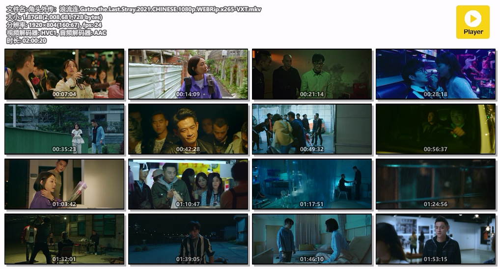角头外传：浪流连.Gatao.the.Last.Stray.2021.CHINESE.1080p.WEBRip.x265-VXT.mkv.jpg