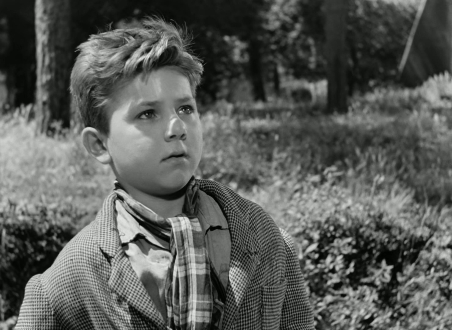 1948 偷自行车的人 The Bicycle Thieves .mkv_20250720_163507.196.jpg